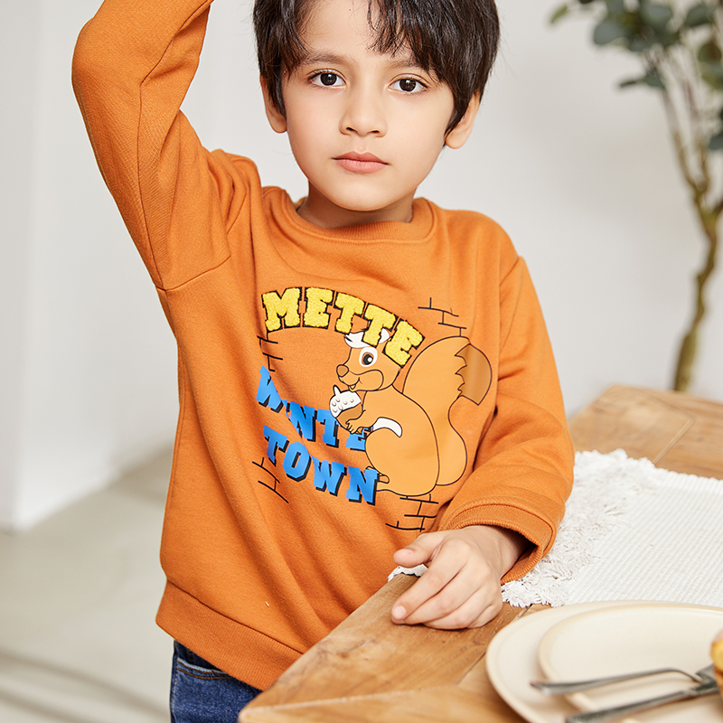焦糖色圆领长袖图形设计男童运动衫