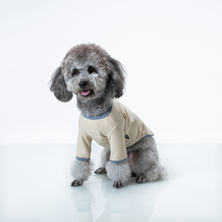 个性化小狗毛衣 设计师宠物针织毛衣，适合可爱的小狗